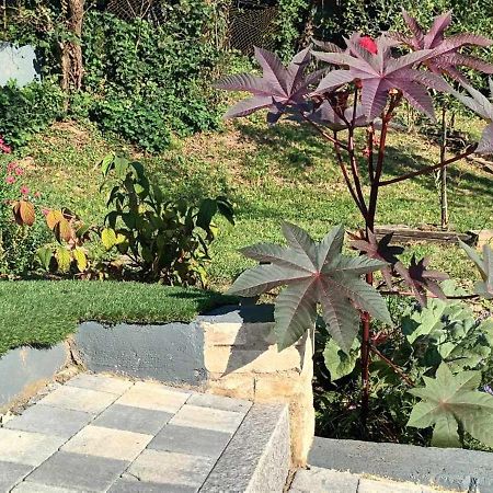 Au Fond Du Jardin Villa Wintzenheim-Kochersberg Eksteriør bilde